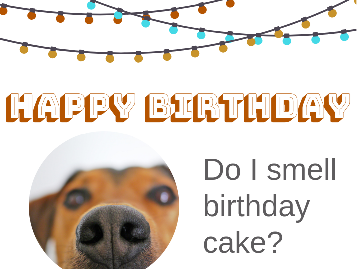 Happy January Birthdays